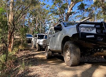 Day Tour of Ourimbah State Forest